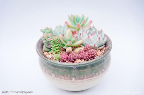 ս˼άжϵ òȷж