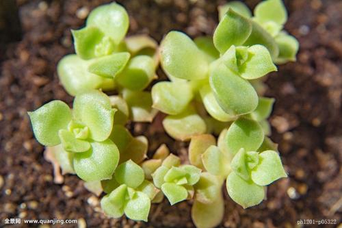 йõԣ⣺ԭɷݸٳɳ֮